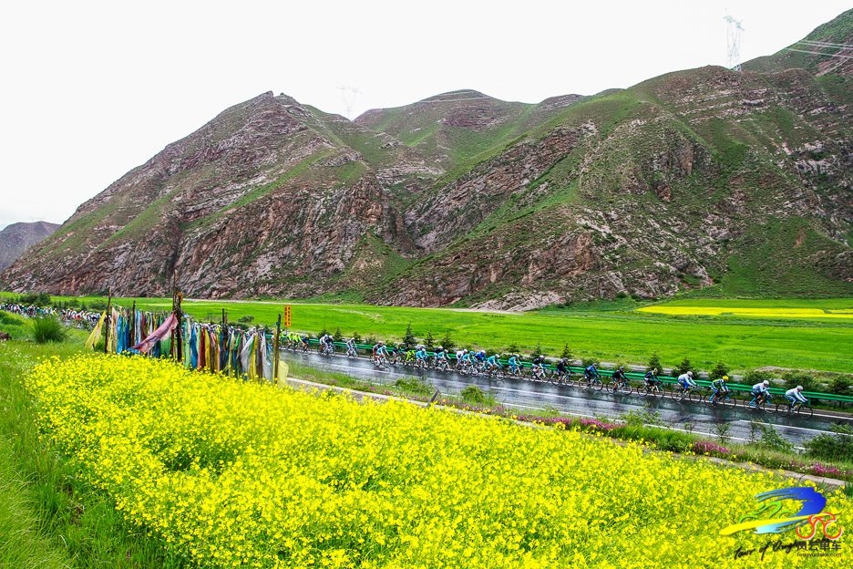 QUANJING 2_conew1.jpg