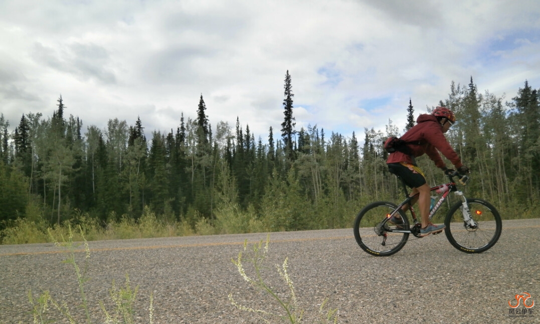 我也不是来打酱油的