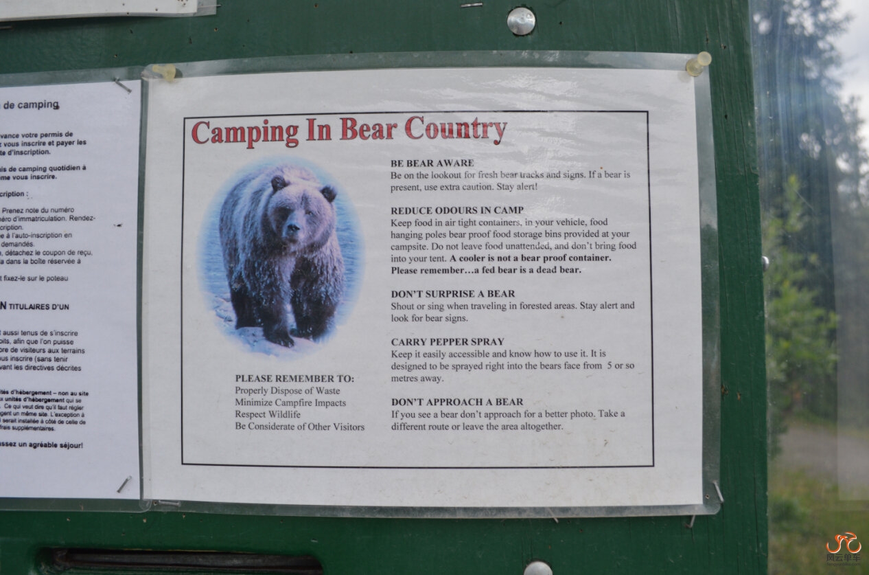 在北极的路上遇见黑熊是一件很危险的事