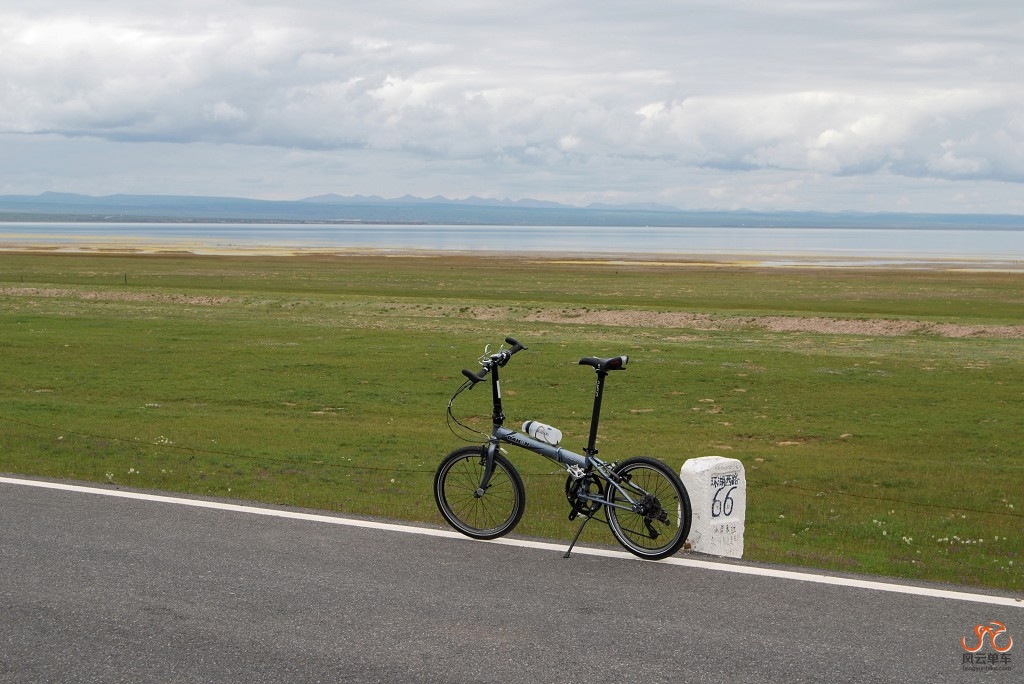 青海湖7.jpg
