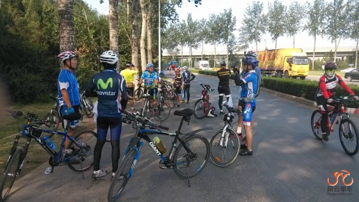 枯柳树环岛休息