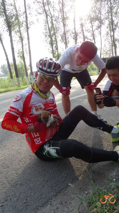 小狗粘着成长不走