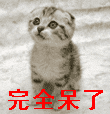 QQ图片20140328202920.gif