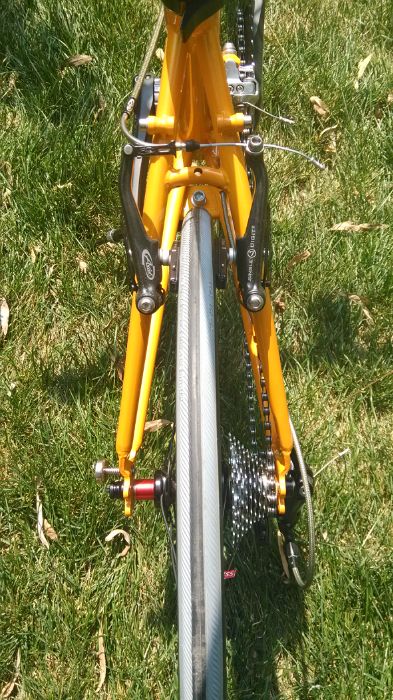 avid7刹车，世文车胎