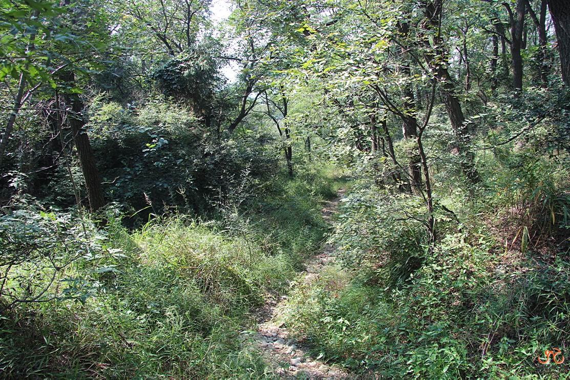 走在新的山间小路上