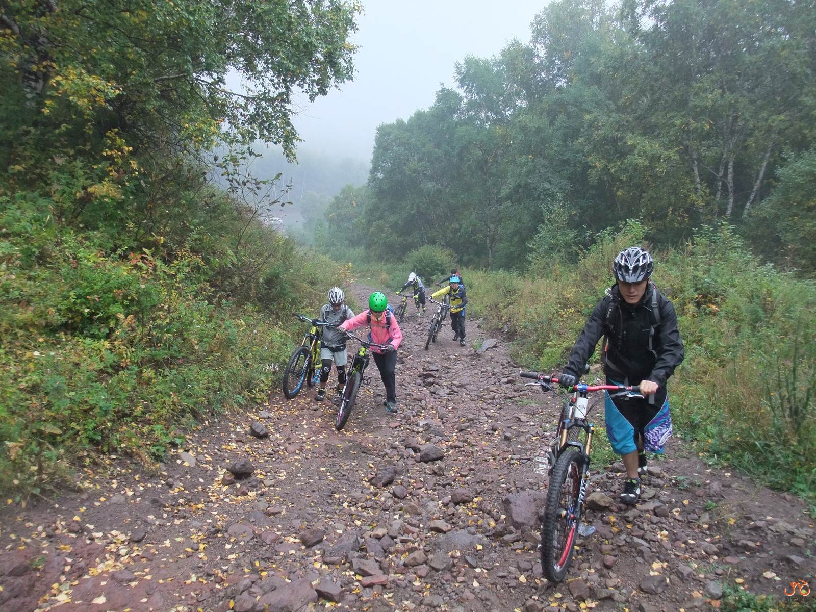 DSCF1004 (复制).JPG