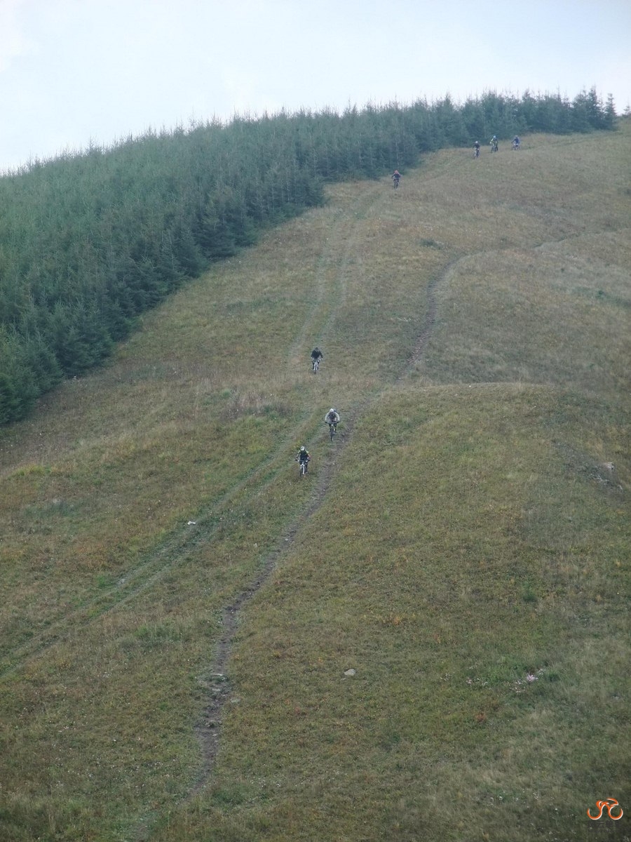 DSCF1180 (复制).JPG