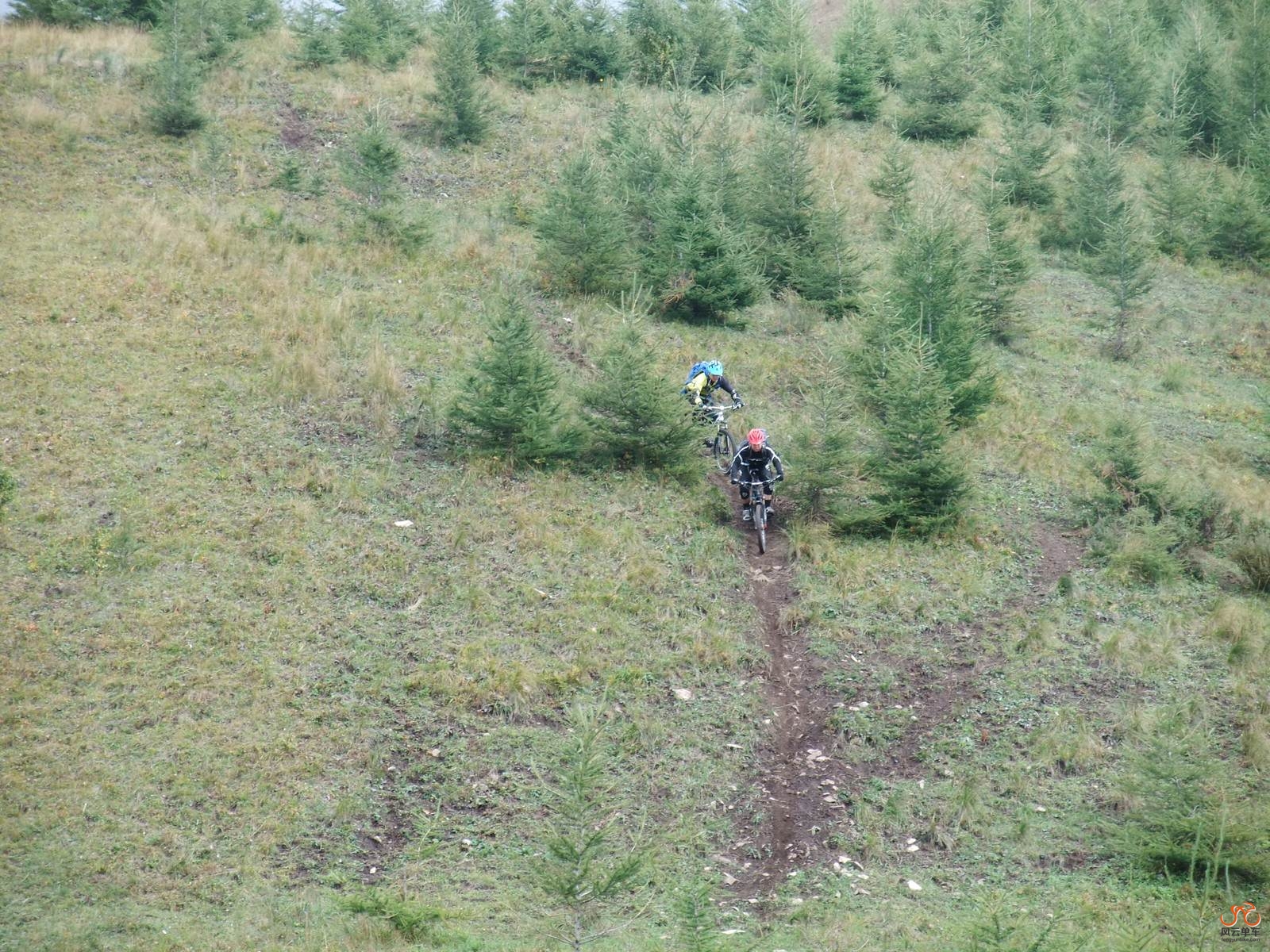 DSCF1224 (复制).JPG