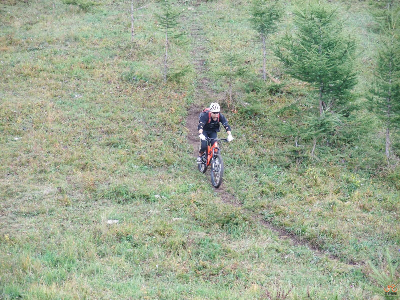 DSCF1238 (复制).JPG