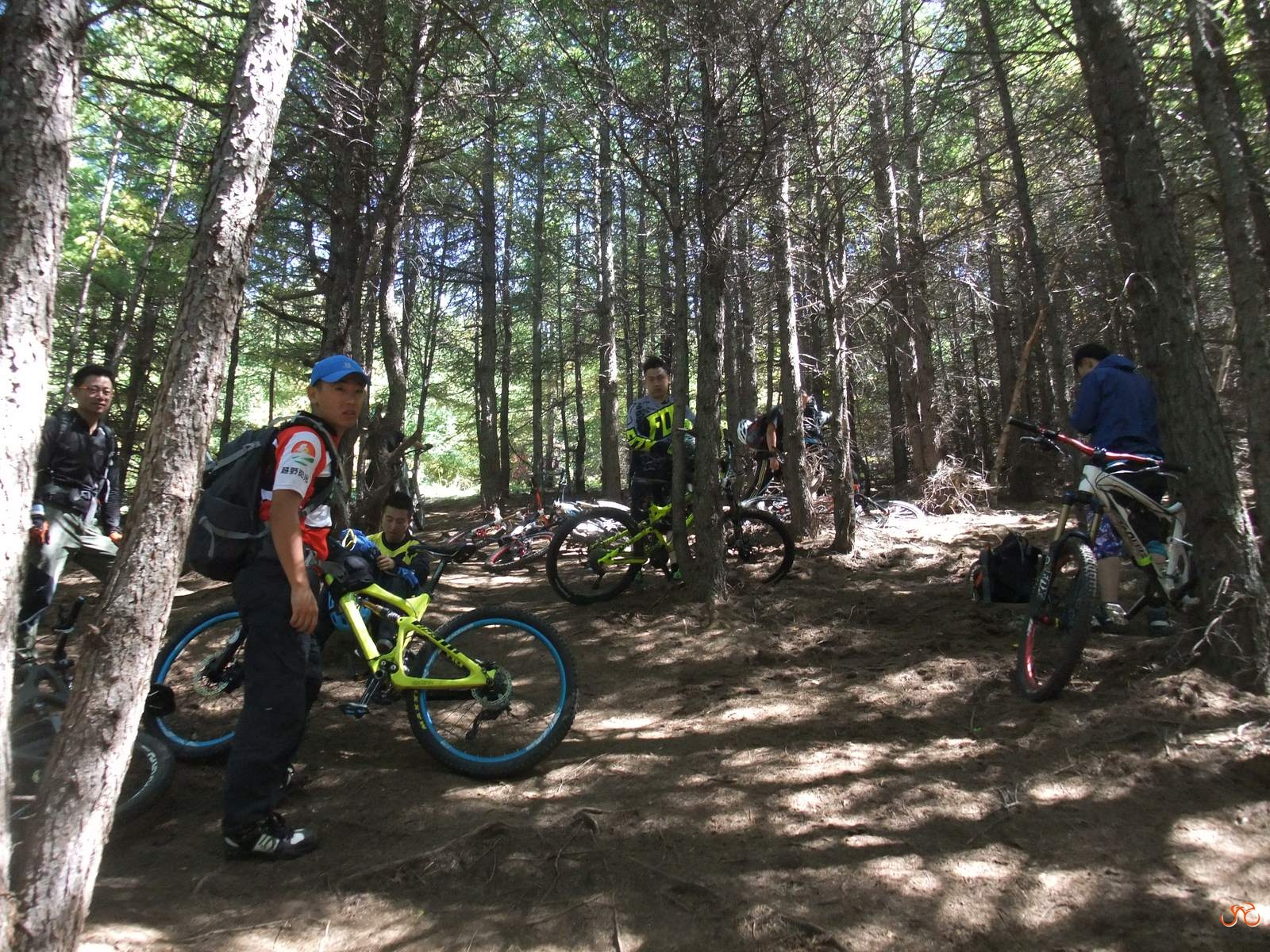 第二天了，推车上海坨