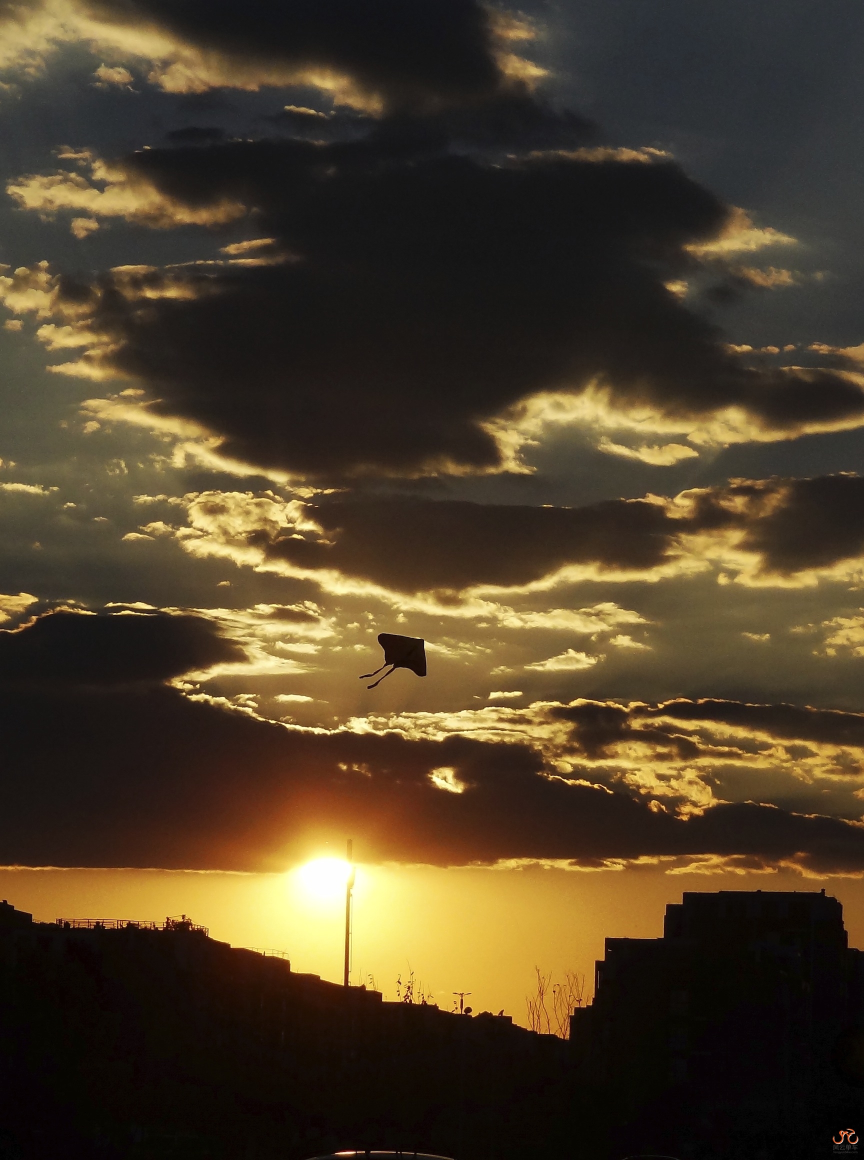 DSC03613 - Version 2.jpg