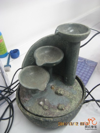 BigBull_骑3 010.jpg