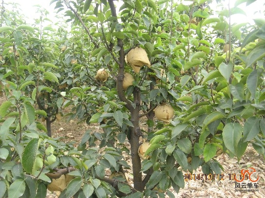 BigBull_骑3 026.jpg