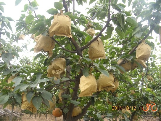 BigBull_骑3 027.jpg