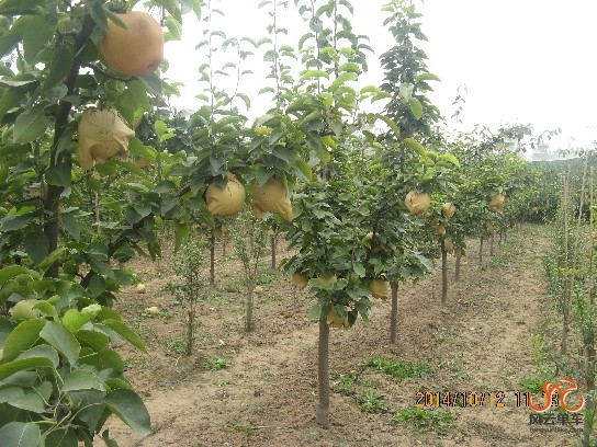 BigBull_骑3 031.jpg