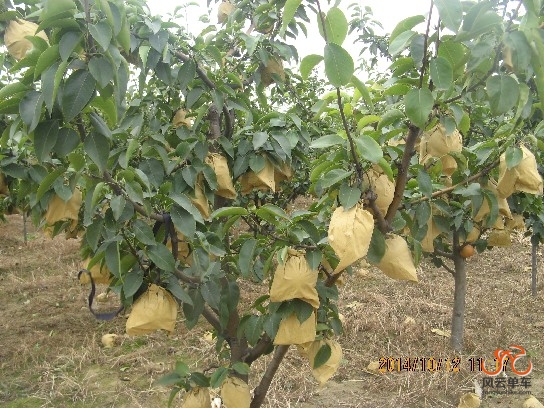 BigBull_骑3 033.jpg