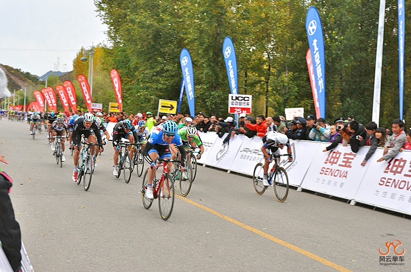 冠军 佳能夏普 泰勒法拉