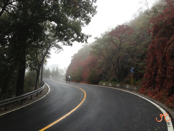 国庆百里画廊 123.jpg