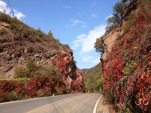 国庆百里画廊 227.jpg