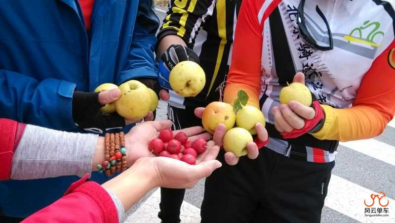 MediaLib_Saved Pictures_1E3760E2CEA571410714D70F8.jpg