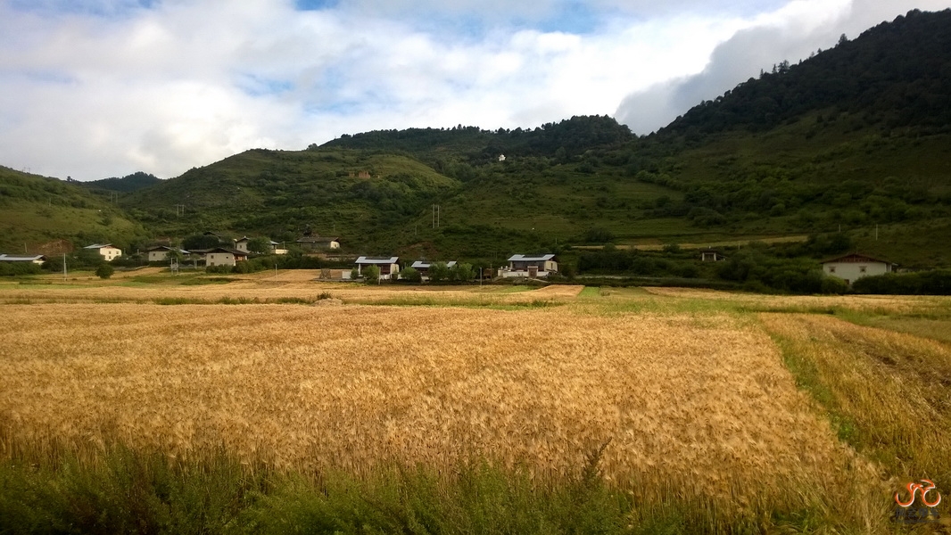 WP_20140909_003_调整大小.jpg