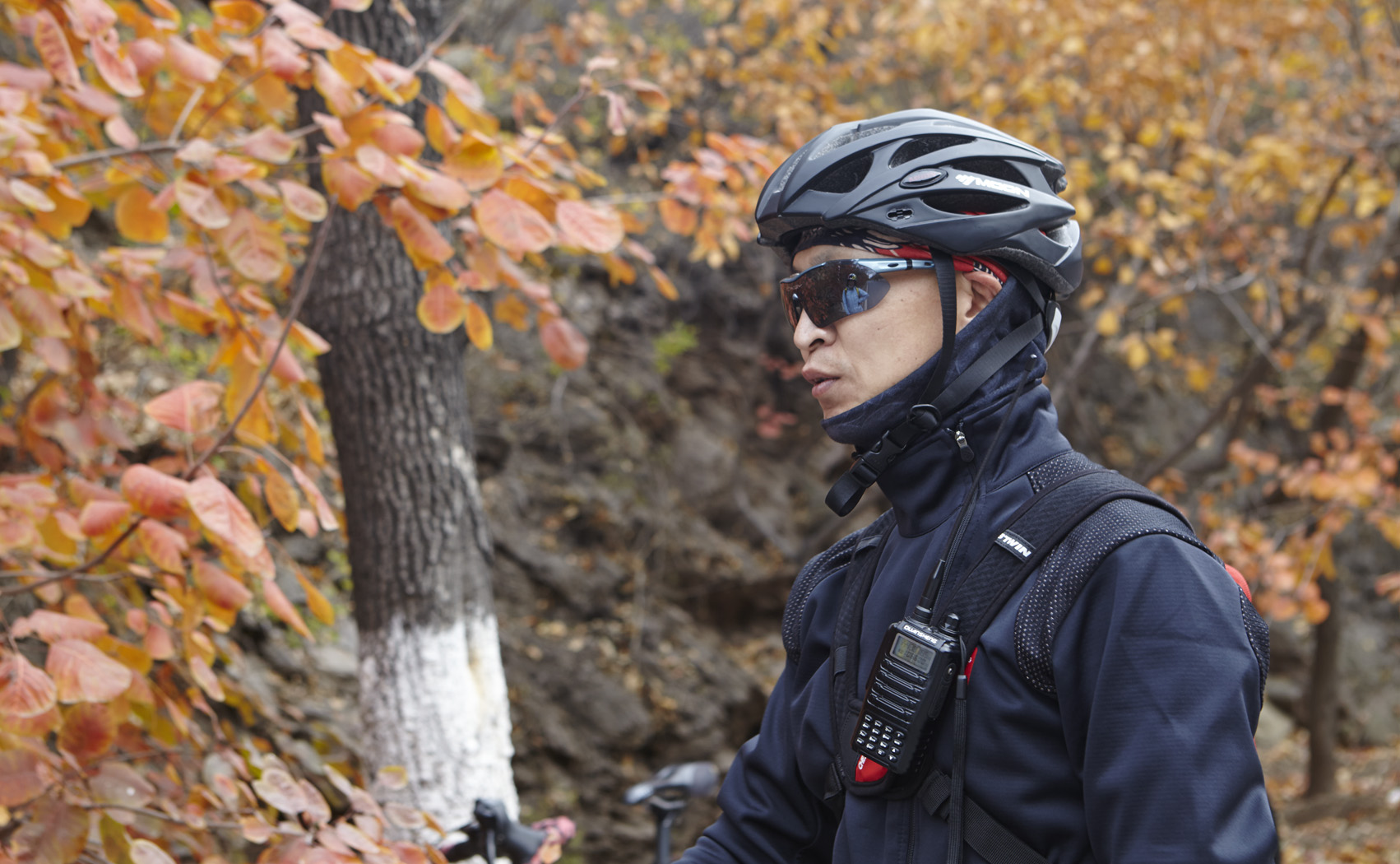 秋意浓浓衬老关