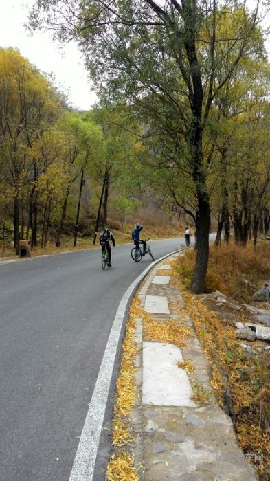 这景色拍得技术一流