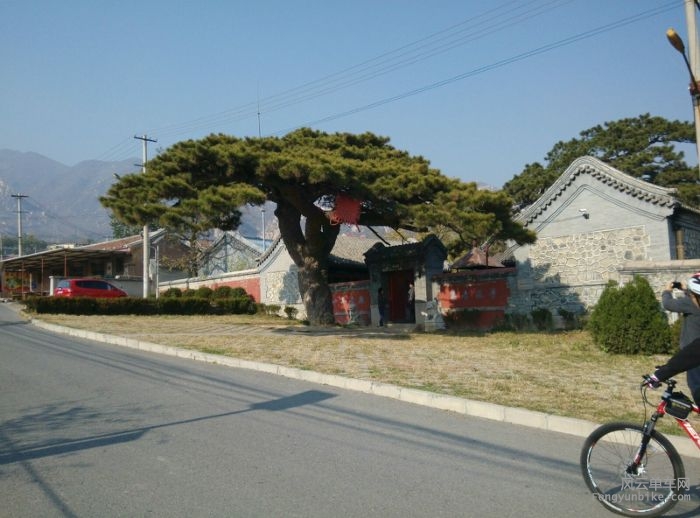 这颗树应该比我爷爷的爷爷的年龄还大