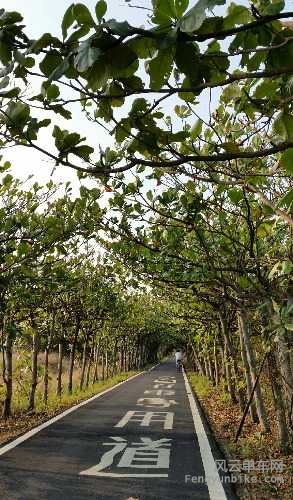 2014-12-11 18.41.10.jpg