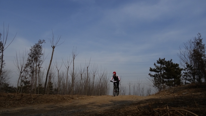 DSC08190.JPG