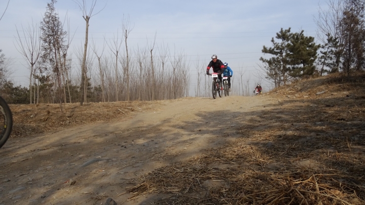 DSC08193.JPG