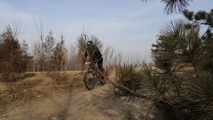DSC08196.JPG
