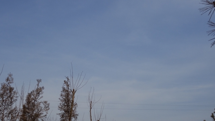 DSC08198.JPG