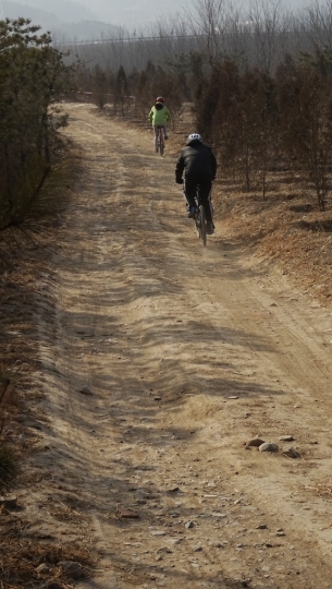 DSC08228.JPG