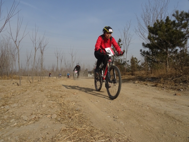 DSC08254.JPG
