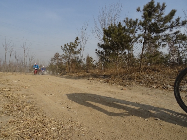 DSC08256.JPG