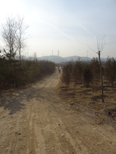 DSC08258.JPG