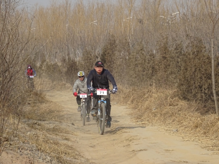 DSC08263.JPG