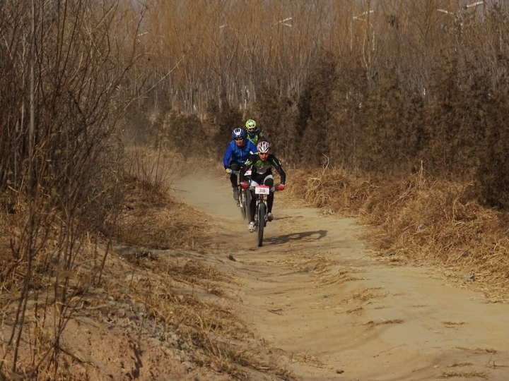 DSC08267.JPG