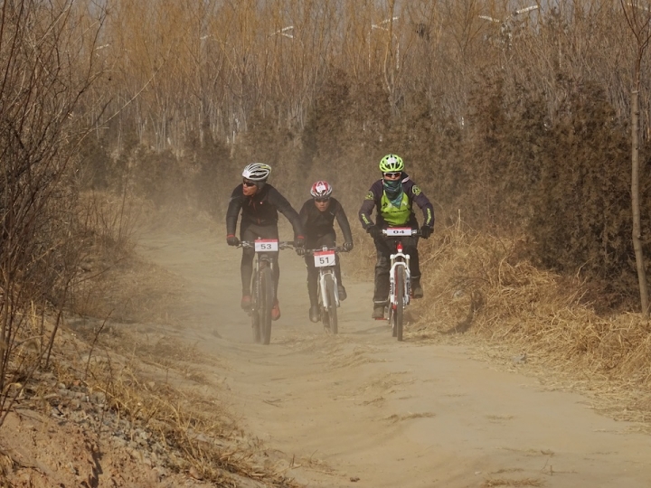 DSC08269.JPG