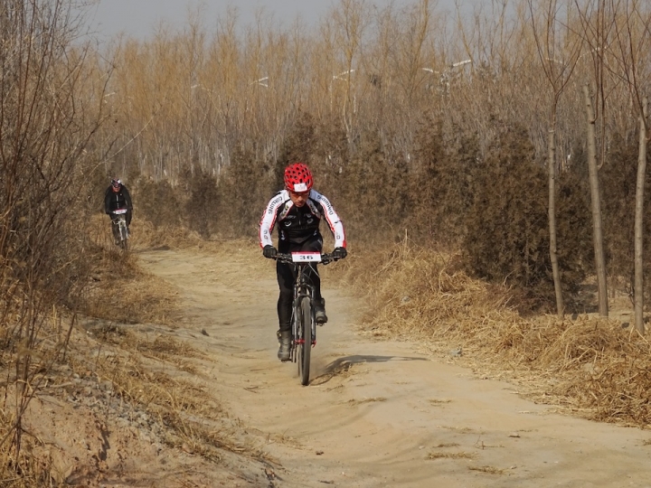 DSC08271.JPG