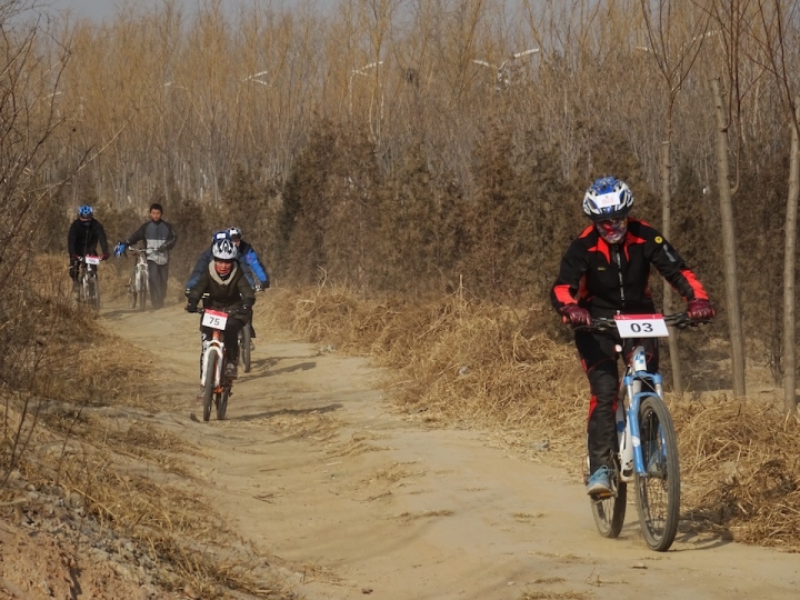 DSC08275.JPG