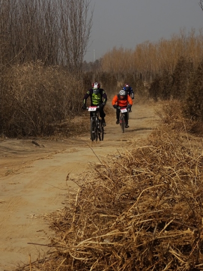 DSC08280.JPG