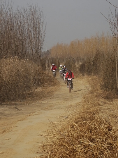 DSC08285.JPG
