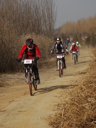 DSC08286.JPG