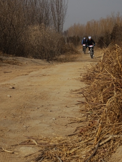DSC08306.JPG