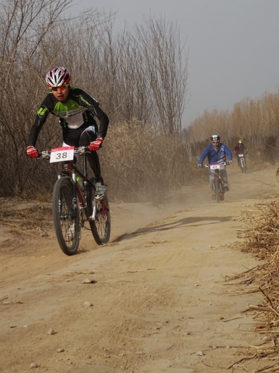DSC08310.JPG