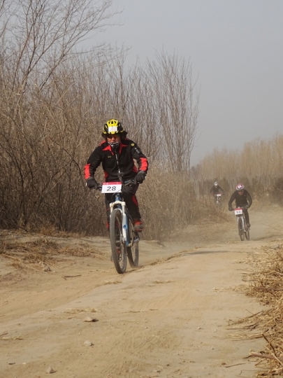 DSC08312.JPG