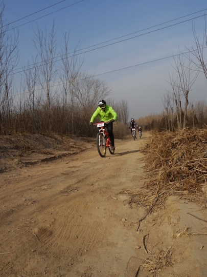 DSC08342.JPG