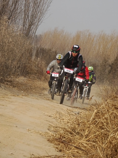 DSC08396.JPG